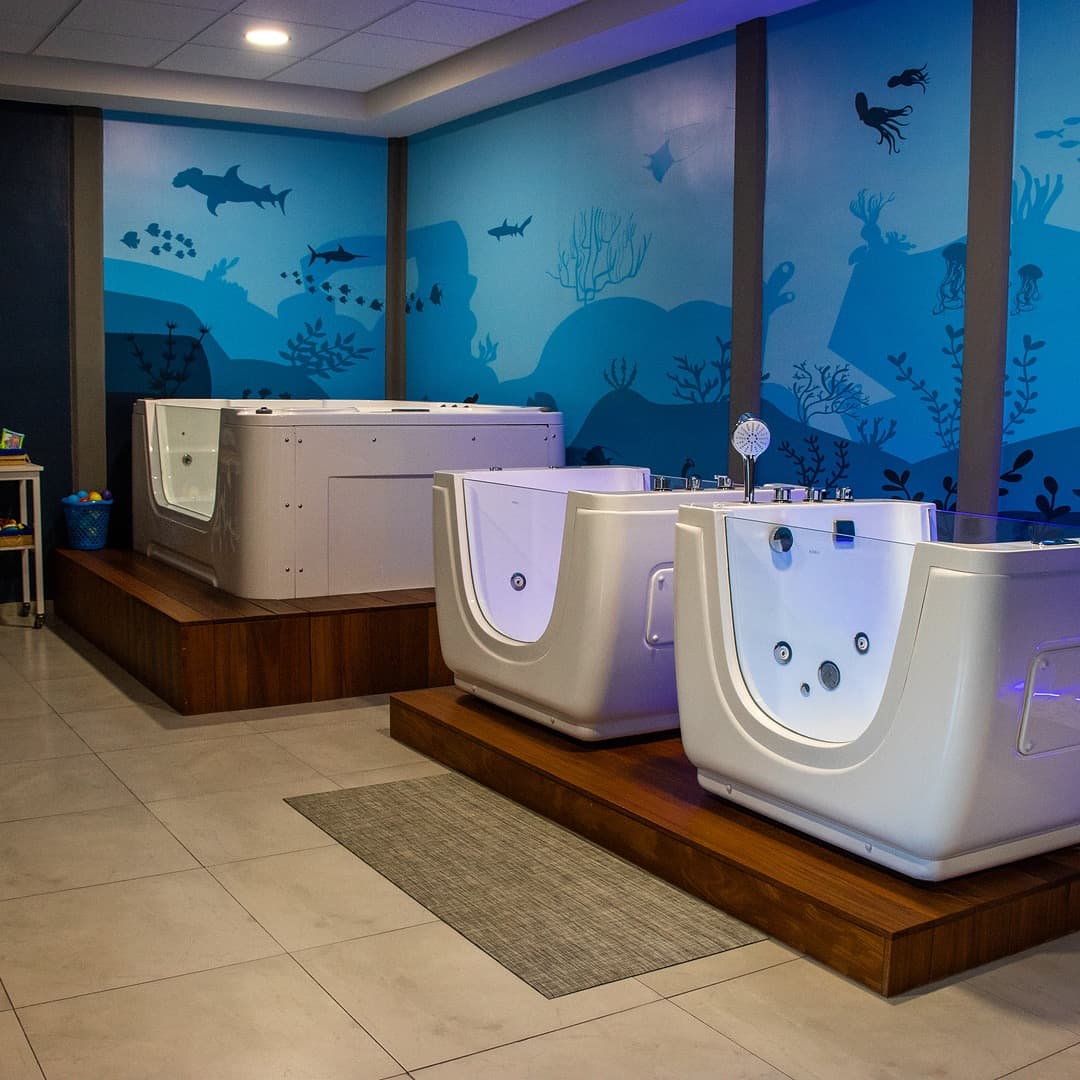 Estimulación Temprana variante 3